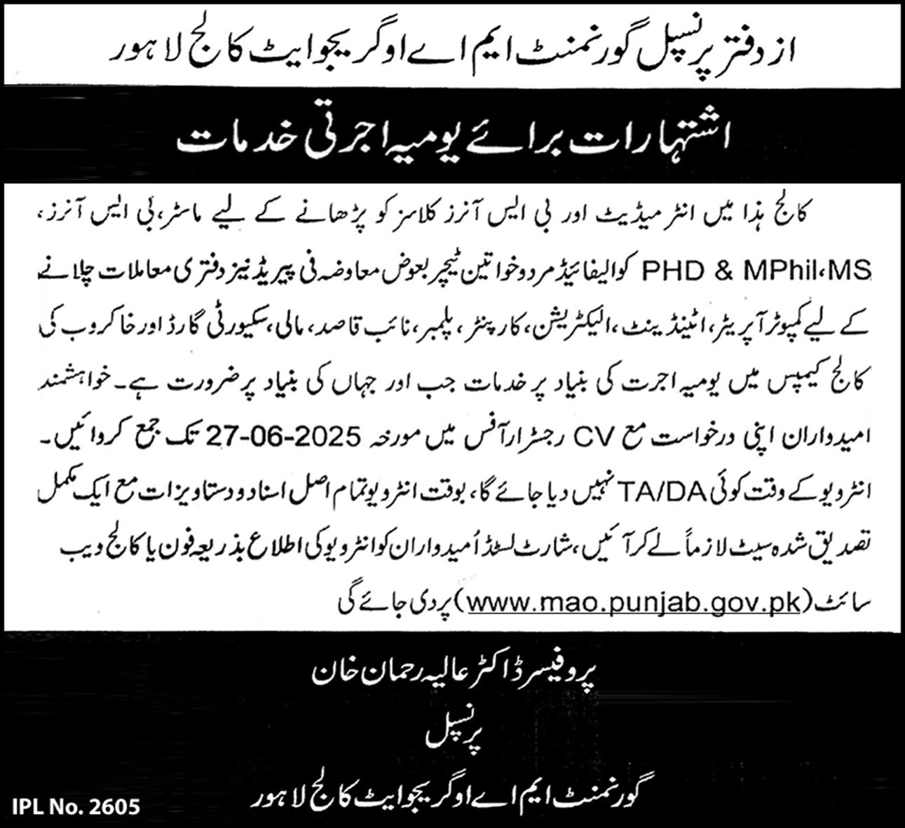 Government MAO College Jobs